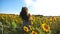 Attractive woman wave her head playing hair in air with beautiful sunflowers field at background. Young carefree woman