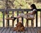 Attractive woman on wooden deck with dog and laptop