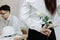 Attractive young Asian woman holding a white rose behind her back for boyfriend in valentines day. Love and romance in workplace c