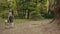 An Attractive Young Blonde Woman Walks With Purebred Siberian Husky Dog In Park