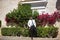 Attractive young businessman with beard, suit and tie, posing with hands in pockets with flower background. Concept beauty,