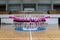 Attractive young cheerleaders working out in sports club, group of cheerleaders with pom-poms in their hands, hands to the side,