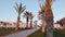 Attractive young girl in red swimsuit and jeans walking near palms trees on beach. Young brunette woman in red shirt and blue jean