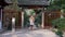 Attractive Young Mixed Woman Walks through the Chinese style Gates in Autumn