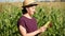 Attractive young woman farmer cleans the corn from the husk and checks the crop for readiness against the background of