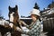 Attractive Young Woman Grooming Horse