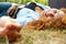 Attractive young woman lying on grass outside