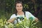 Attractive young woman pruning in her garden in spring. Close up portrait of a beautiful woman cutting back ferns