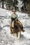 Attractive Young Woman Riding a Horse the Snow