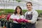 Attractive young woman watering young plant in soil in hands of florist in greenhouse