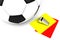 Attributes of a football referee: yellow and red cards, a whistle,