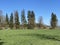 Atural landscape with early spring pastures and mixed forests on the natural protection area Wauwilermoos, Wauwil - Switzerland