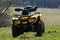 ATV quad bike