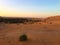 ATV racing in Sahara Desert, Taghit, Algeria