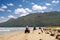 ATV\'s on the beach in Cayo Levantado, Dominican Republic.