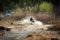 ATV and UTV in action in water hard road. Extreme offroad ride. 4x4