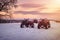 ATVs stand in the snow against a beautiful sunset