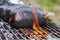 Aubergine on barbecue grill on hot charcoal and fire.