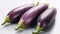 Aubergine eggplant