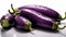 Aubergine eggplant