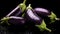 Aubergine eggplant