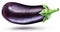 Aubergine or eggplant isolated on white background.