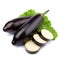 Aubergine vegetable