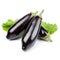 Aubergine vegetable isolated