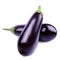 Aubergine vegetable isolated