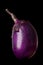 Aubergine vegetable isolated on black