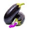 Aubergines like a tube of paint in white background