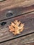 Auburn fallen leaf on the brown deck