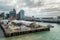 Auckland city, New Zealand. Queens wharf and city skyline