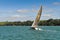 Auckland - The City of Sails