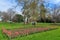 Auckland Domain park, Auckland, New Zealand, in early spring