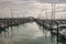 Auckland marina with Harbour Bridge in background