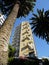 Auckland: modern apartments Phoenix palm trees