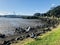 AUCKLAND, NEW ZEALAND- AUG, 15,2020:Red-billed gulls fly by the seashore.