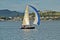 AUCKLAND, NEW ZEALAND - Mar 13, 2019: Small classic yacht sailing with spinnaker in Waitemata Harbor