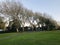 AUCKLAND, NEW ZEALAND - MAY 28 2020 The Waterlea Park Playground. Local leisure park , a row of Ginkgo Tree.