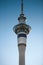 Auckland\'s Sky Tower at dawn MCU