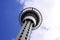 Auckland Skytower Viewed From Below