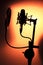 Audio recording vocal studio voice microphone