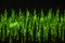 Audio signal on oscilloscope screen. Communication and electronics. Close up