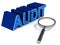 Audit