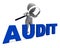 Audit Character Means Validation Auditor