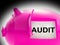 Audit Piggy Bank Message Means Inspection And Validation