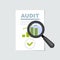 Audit and report icon - magnifier on, verification and review