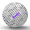 Audit Sphere Definition Means Financial Inspection