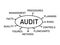 Audit , writing plan text